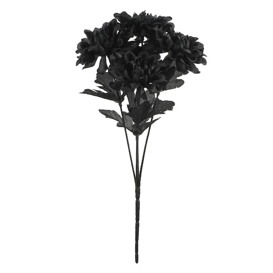 12" Black Dahlia Bush by Ashland®